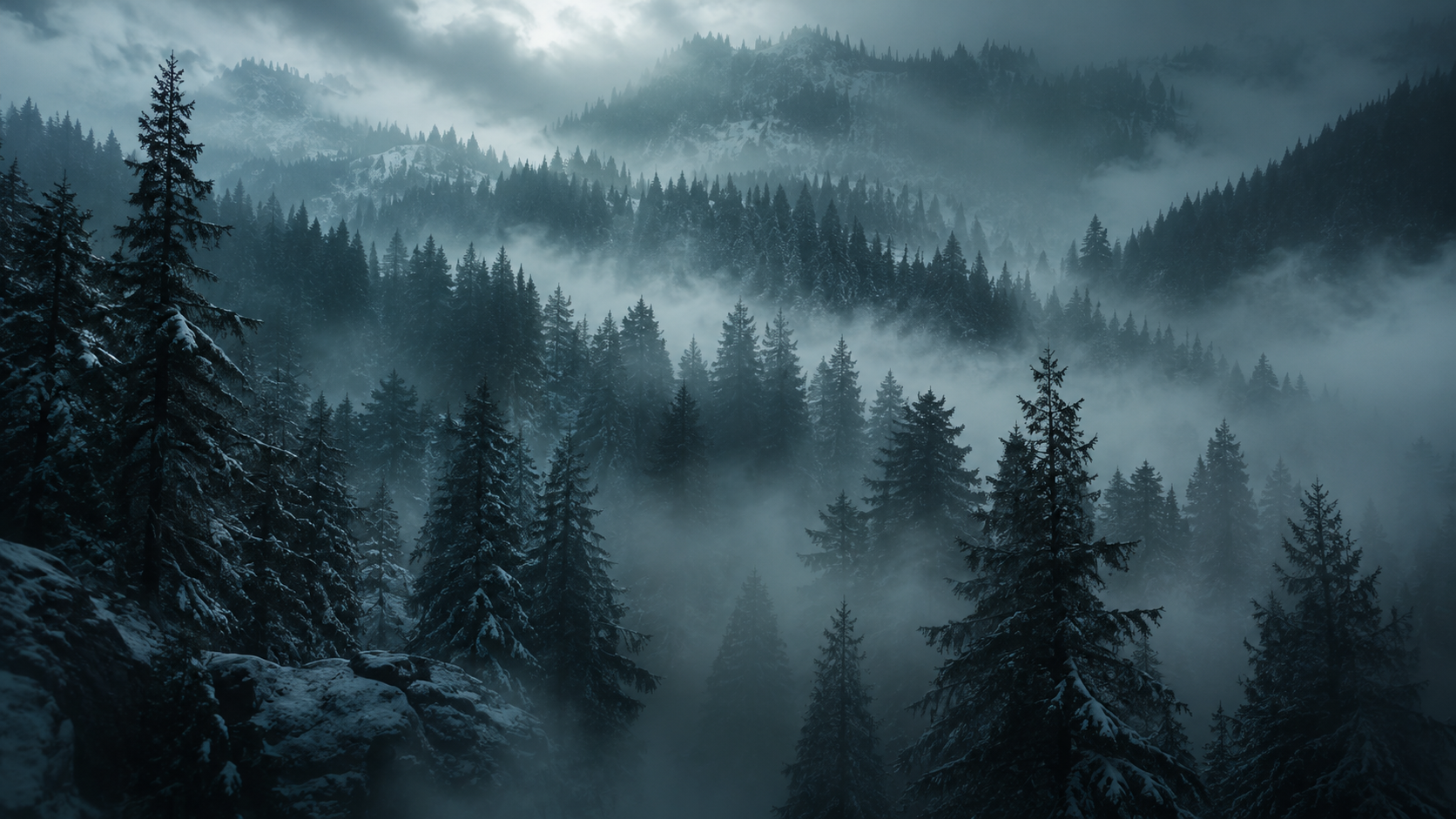 Misty winter forest at dawn, the NIXEO atmosphere